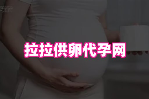 武汉助孕网 3