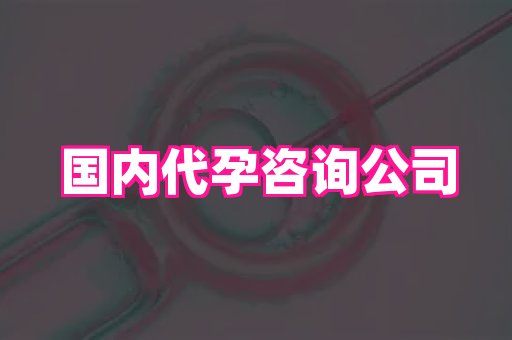 武汉助孕网 4
